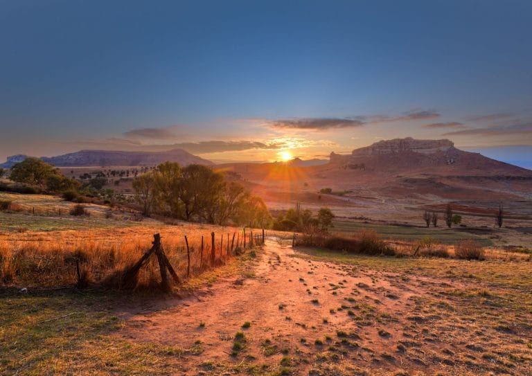 Free State