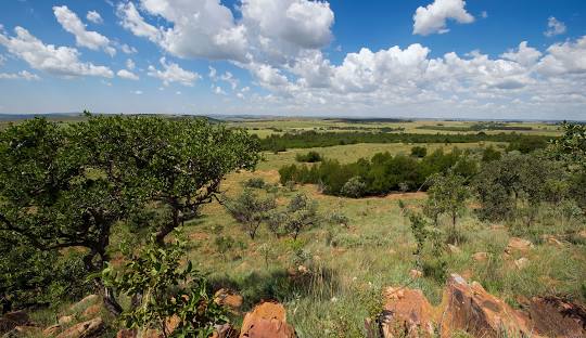 Visit Magaliesburg