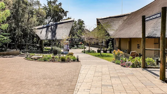 Lion and Safari Park