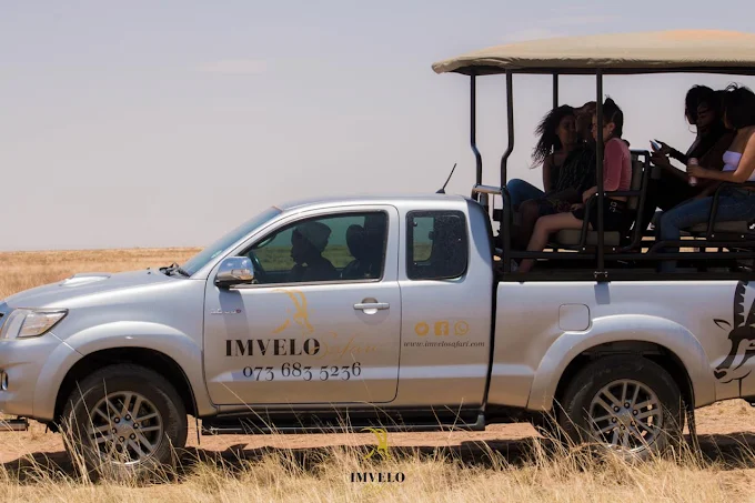 Imvelo Safari Imvelo Safari